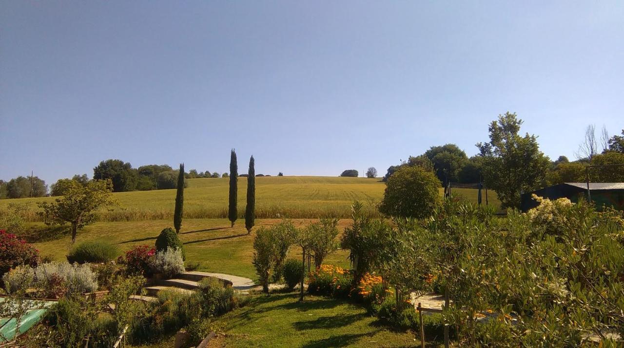 Villa Nobile Cortona Family Apartments Eksteriør billede